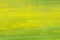 Abstract blurred natural yellow green background. Spring concept with defocused effect for text and design.