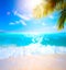 Abstract blurred summertime vacation background; sunny tropical beach with palm tree and sea waves