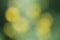 Abstract blurry natural green and yellow background with bright round bokeh