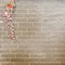 Abstract brick wall with ribbons and bows.