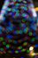 Abstract bulbous out of focus green red and blue lights on a tree