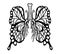 Abstract butterfly lungs leaves print anatomical drawing