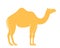 Abstract Camel