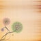 Abstract cardboard texture background with flower