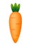 Abstract Carrot Icon Isolated on White Background. Vector Illustration