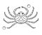 Abstract cartoon character - sea crab, garden spider with eyes, smile. Children`s contour coloring. Black drawing on white