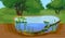 Abstract cartoon landscape with split level freshwater pond. Biotope pond with Yellow water-lily Nuphar lutea