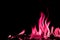 Abstract chemical pink fire flame isolated on black background