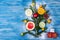 Abstract Christmas tree food background with grapefruit, mandarin, lemon, lime, kumquat