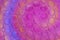 Abstract close up bubble wrap sheet with colorful background