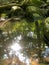 Abstract close up of forest and blue sky reflected in flowing stream