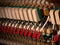 Abstract closeup of the interior of an upright piano