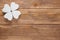 Abstract clover on wood background.