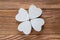 Abstract clover on wood background, top view, flat lay. Abstract white wooden clover