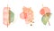 Abstract collection rose shapes fluid, decorative gradient ink. tender coral green geometry set.  gold circles minimal elements,