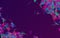 Abstract color connections on purple background. Modern dynamic design. Big data visualization. Futuristic backdrop with