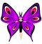 Abstract color image of the large purple girl butterfly