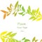 Abstract color leaf background.