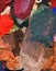 Abstract color spot blotch paint. The palette of the artist. For background