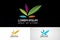 Abstract colored leaf logo