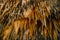 Abstract colorful stalactite and stalagmite pattern Demanovska cave of Liberty, Slovakia, Geological formations background