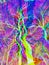 Abstract colorful trees. Artistic fantasy hipster background. Chaos