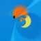 abstract colours and circular shapes of one happy smiling hedgehog blue and orange