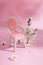 Abstract composition spring still life puppet chair with white flower on pink background