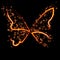 Abstract conceptual design - a fiery butterfly shape.