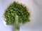 Abstract creative tree made with peas for leaves and drumstick for stem