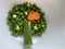Abstract creative tree made with peas for leaves and drumstick for stem with simple corn and carrots