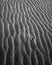 Abstract Of Crossing Bird Tracks On Sand B&W