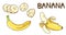 Abstract cute banana cartoon