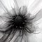 abstract dahlia, black and white illustration. Generative AI