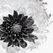 abstract dahlia, black and white illustration. Generative AI