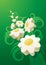 Abstract daisy background.