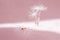 Abstract Dance of Macro Dandelion Seed Background