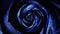 Abstract of dark blue soft rose petals, rotating flower, seamless loop. Top view of rosebud spinning hypnotically.