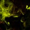 Abstract dark mystery yellow green smoke swirls on black background