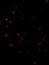 Abstract dark theme and pink dots