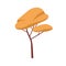 Abstract deciduous autumn forest tree with orange crown. Wood foliage leafy plant with trunk. Botanical flat cartoon