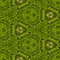 Abstract decorative green moss background. Seamless pattern