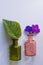 Abstract decorative still life, close up 2 levitating glass bottles, lilac leaf and two ampel petunia flower, copy space