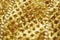 Abstract defocused shiny sparkle gold glitter bokeh background