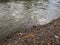 Abstract detail from the river, fast turbulent and wavy water and gravel shore during the day