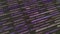 Abstract digital background of narrow horizontal stripes with hacking data. Animation. Purple background with passwords