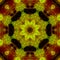 Abstract digital kaleidoscope 20181114_141853 unique mandala, color ornament, decor background