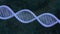 Abstract DNA 3D animation on dark blurry green blue organic background. Blue glowing rotating DNA double helix. Science and