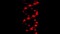 Abstract DNA double helix of dark red color rotating on black background, seamless loop. Animation. Concept of