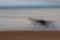 Abstract dog running with blurred panning motion